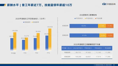 《2021年制造業(yè)人力資本管理與薪酬趨勢報告 資產管理視角下的挑戰(zhàn)與機遇》